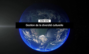 ADM 3012 ADM 3012